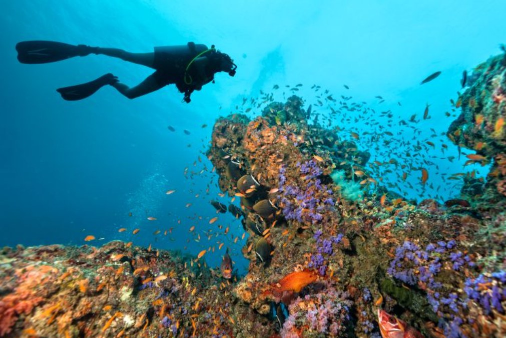 Diving