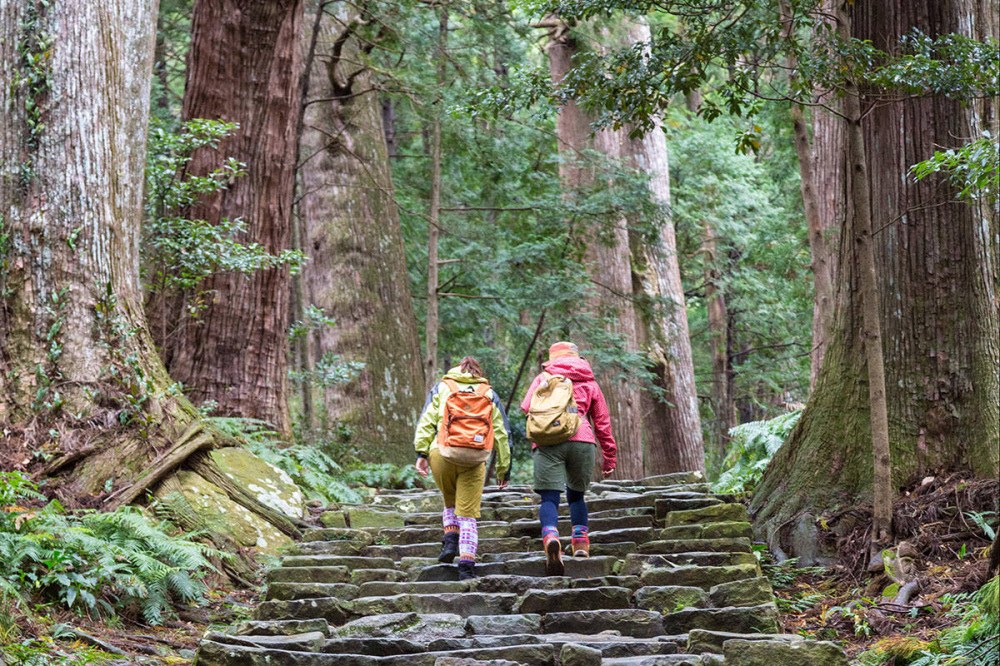Kumano Kodo Hiking