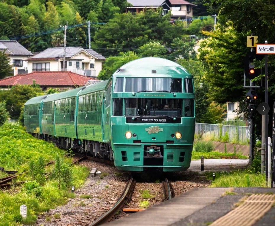 Scenic Sightseeing Train