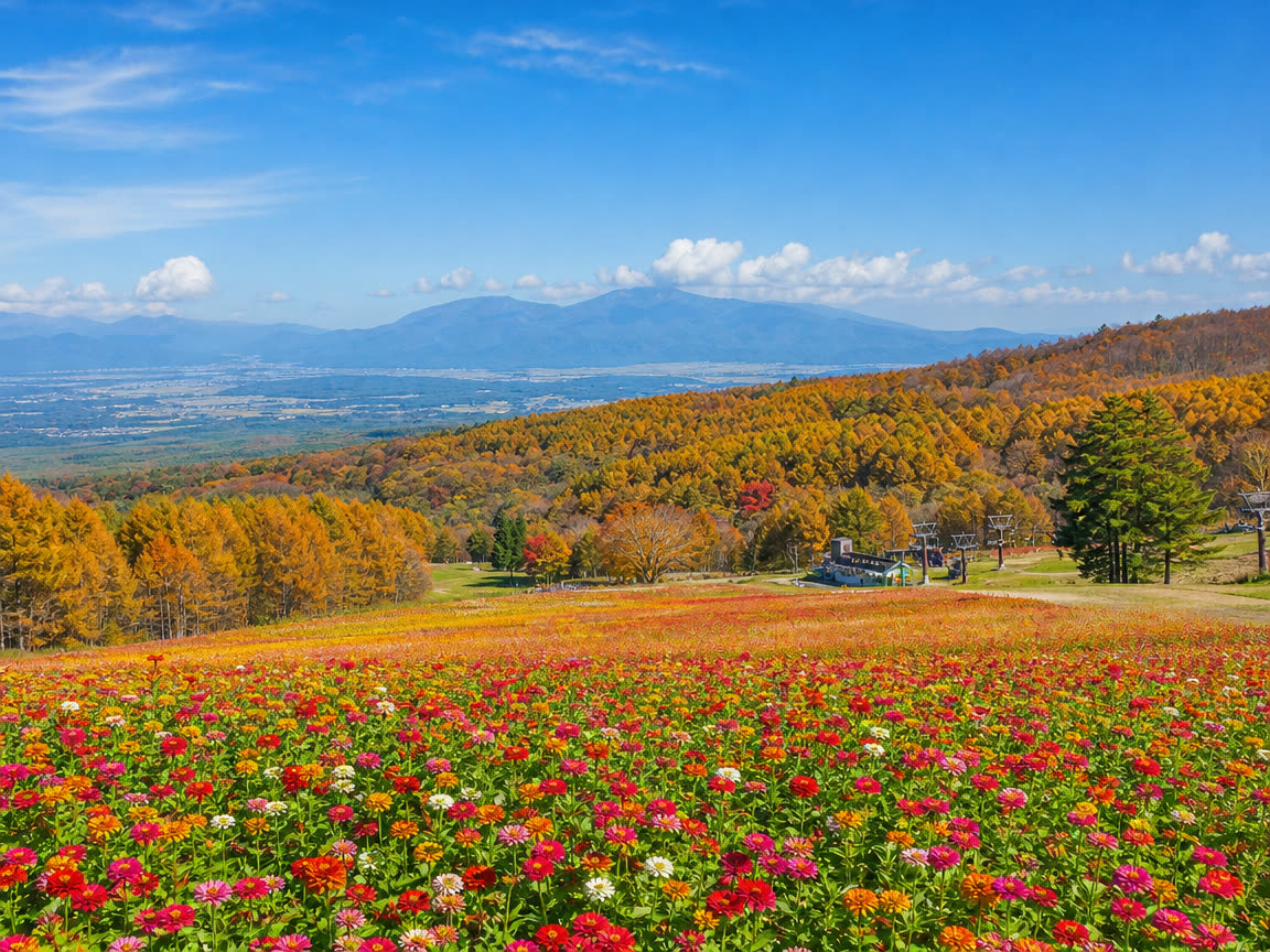 Sky Ride — Fujimi Highland