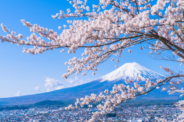 Classic Honshu — Osaka to Tokyo in 6 Days