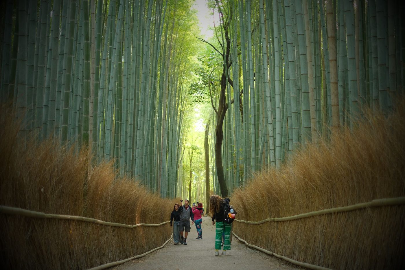 Arashiyama area