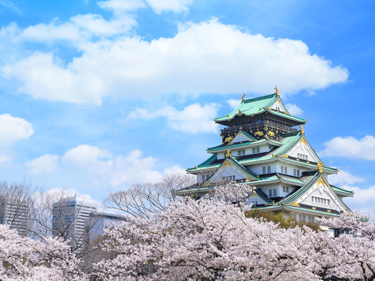 Osaka Castle Park