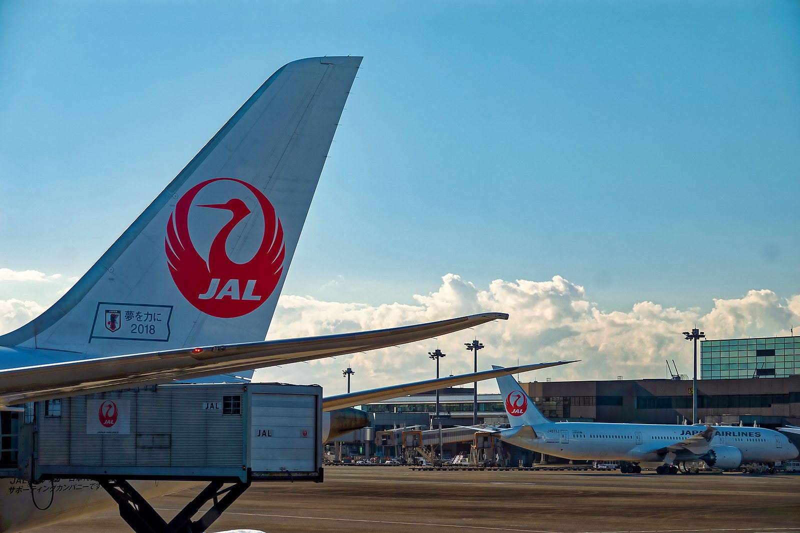 Kansai Airport arrival