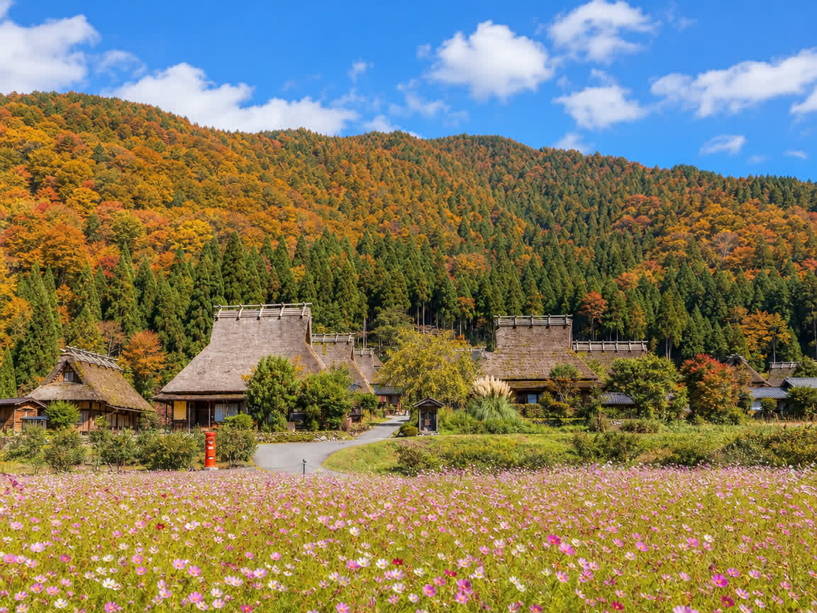 Miyama — thatched-village landscape