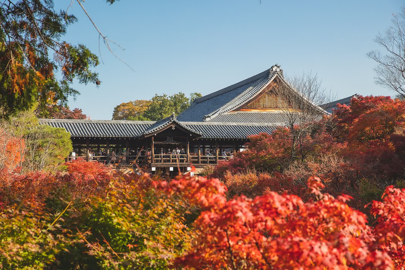Tofukuji — maples of Tsuten Bridge