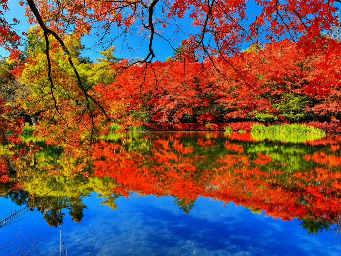 Kiyotsu Gorge, Kusatsu & Karuizawa Autumn — 6 Days