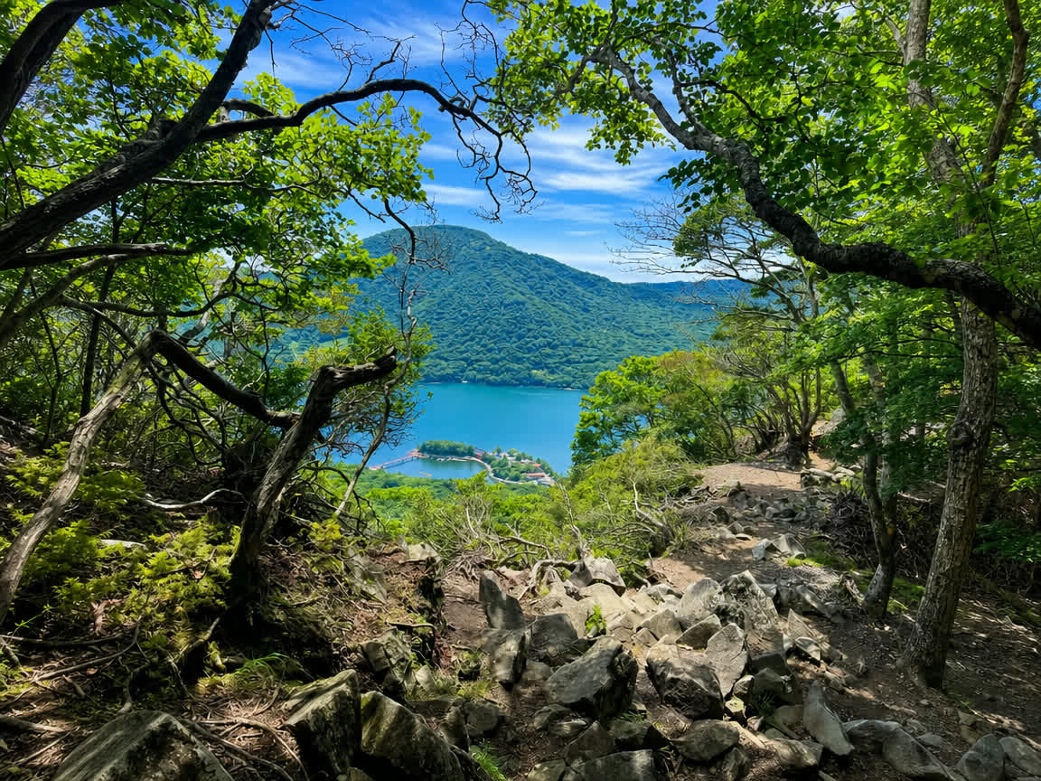 Akagi Nature Park — four-season forest walk