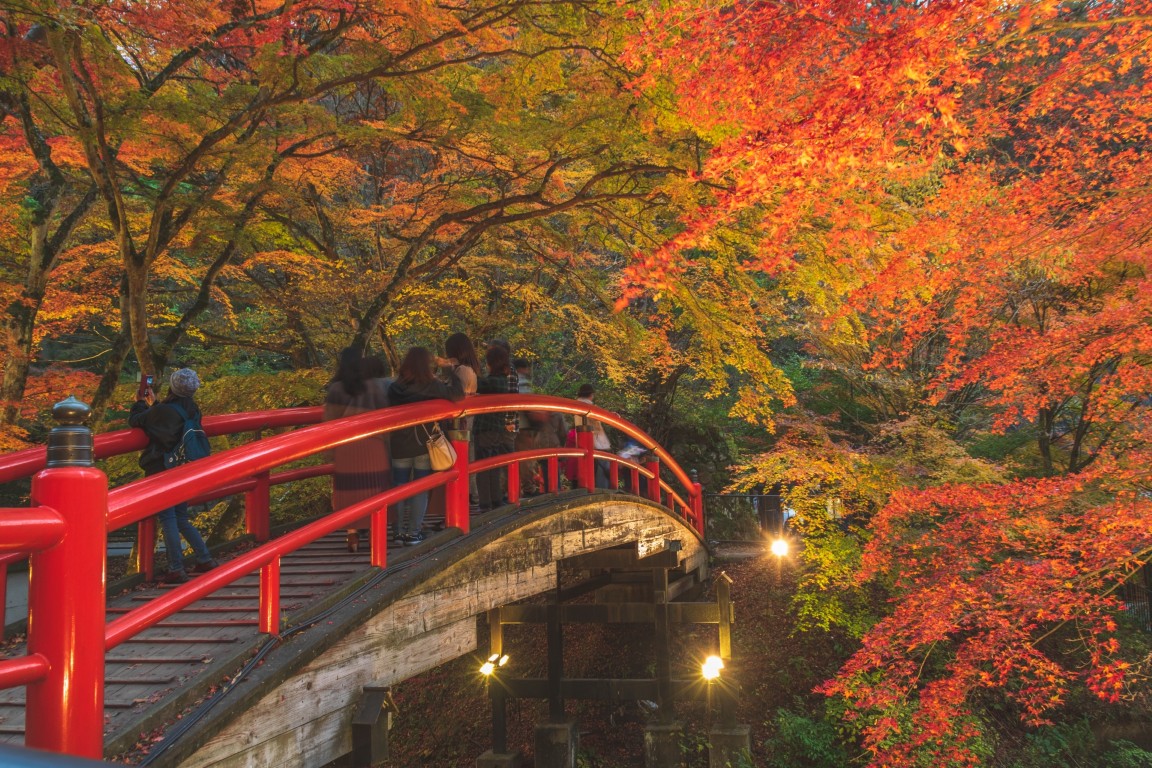 Kajika Bridge — free time