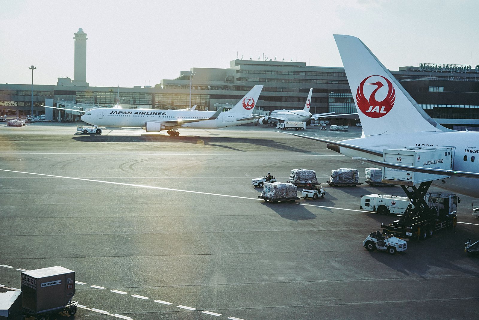 Arrival at Tokyo Narita Airport