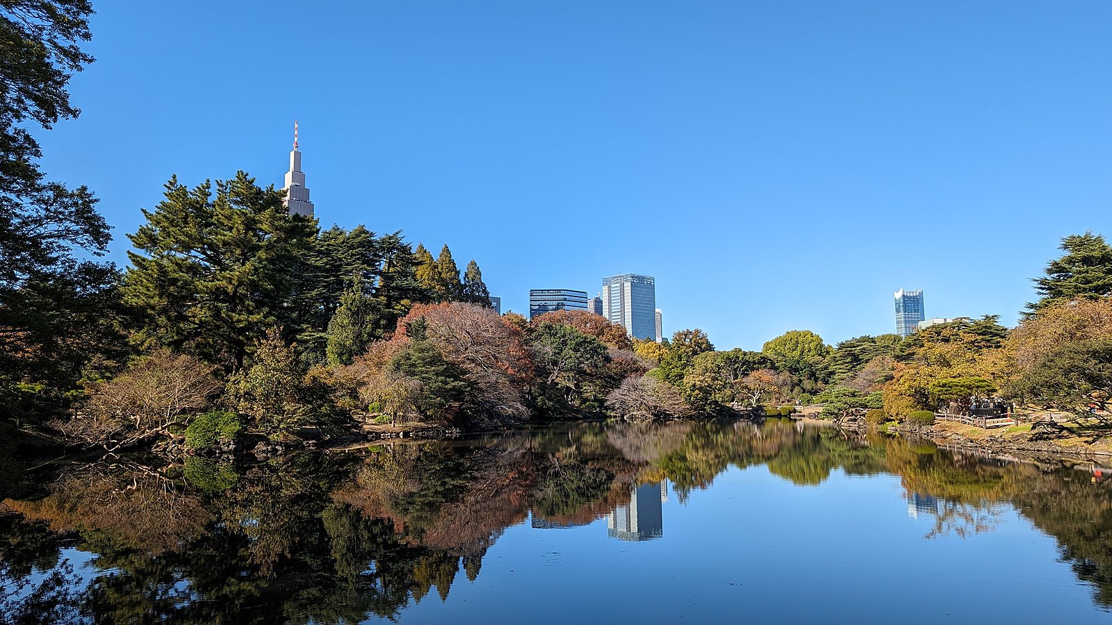 Shinjuku Gyoen — free-time option