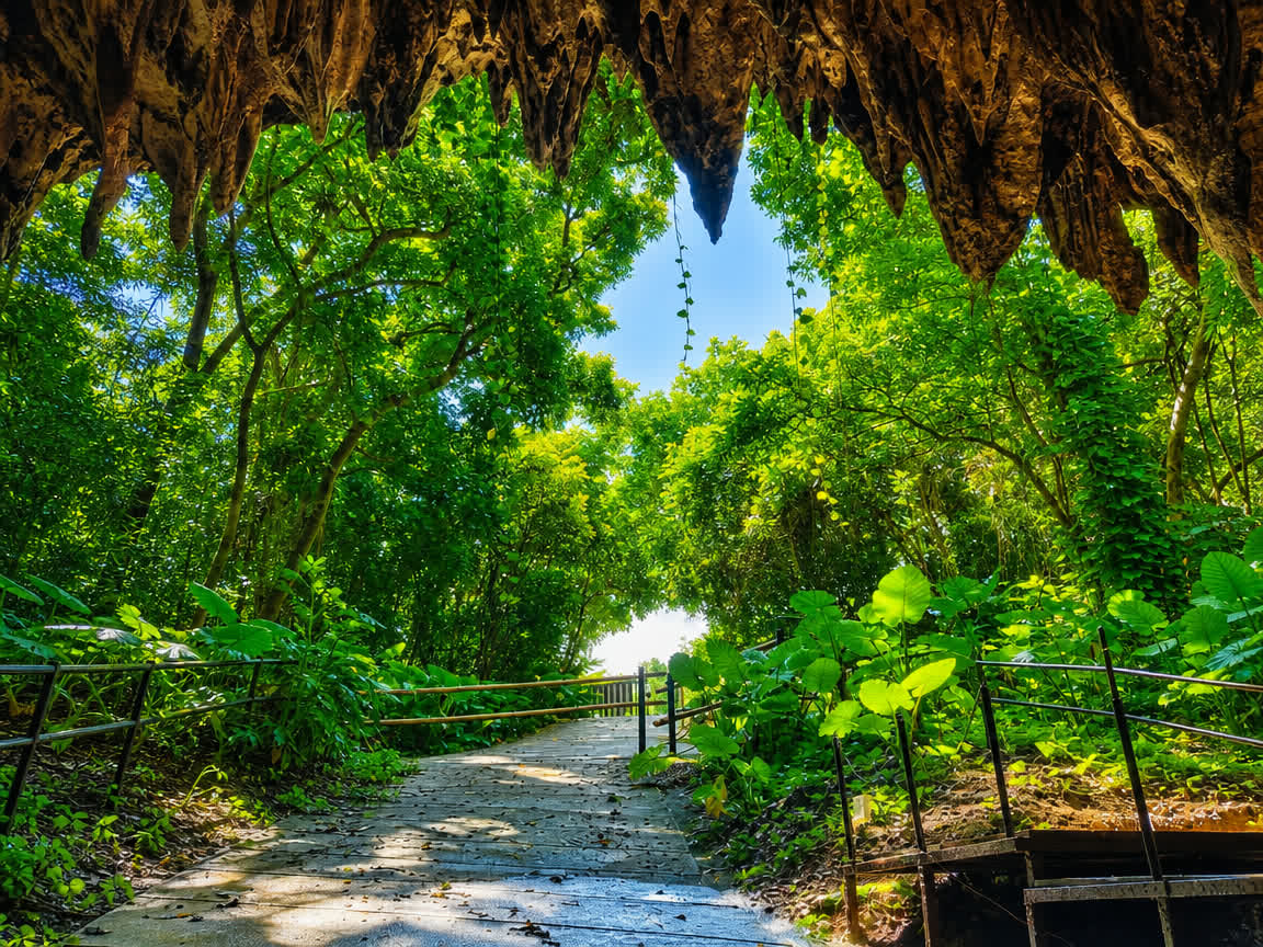 GANGALA Valley — primeval forest walk