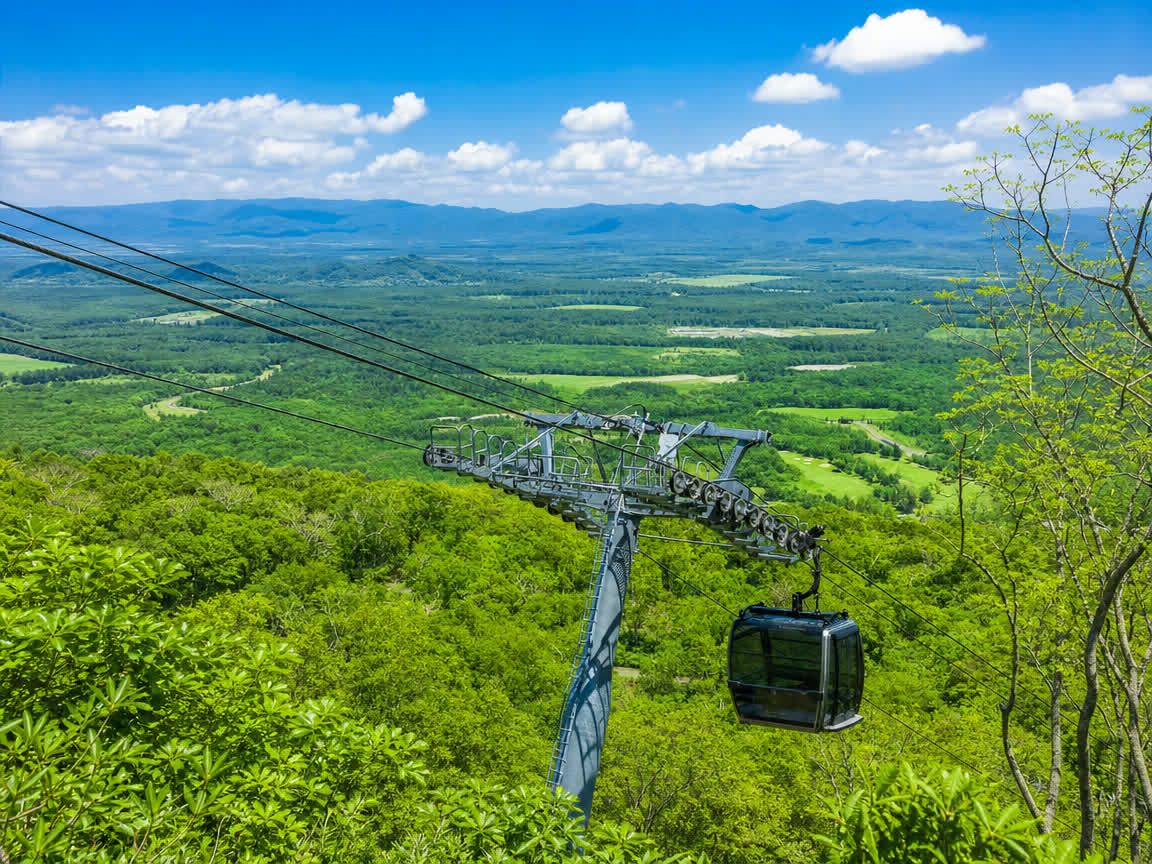 HANAZONO summer gondola